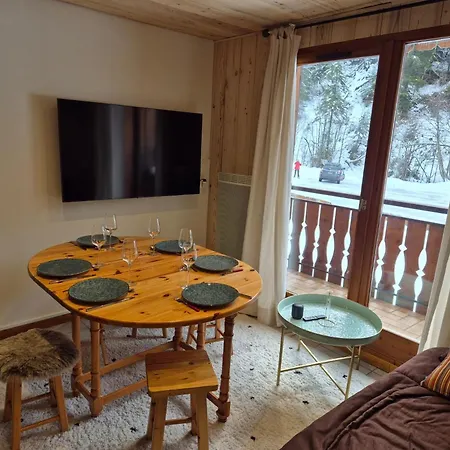 Apartment T2 Confortable Au Pied Du Telepherique De Nyon Avec Wifi Et Animaux Acceptes