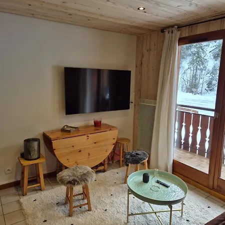 T2 Confortable Au Pied Du Telepherique De Nyon Avec Wifi Et Animaux Acceptes