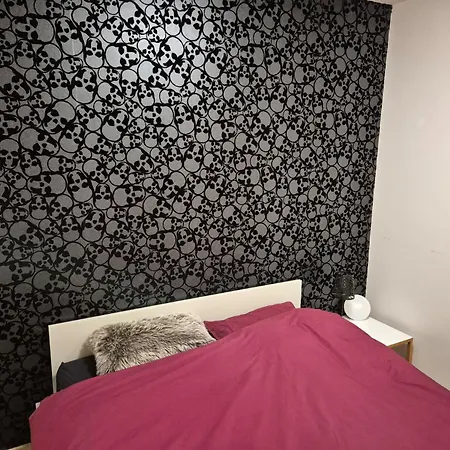 T2 Confortable Au Pied Du Telepherique De Nyon Avec Wifi Et Animaux Acceptes *
